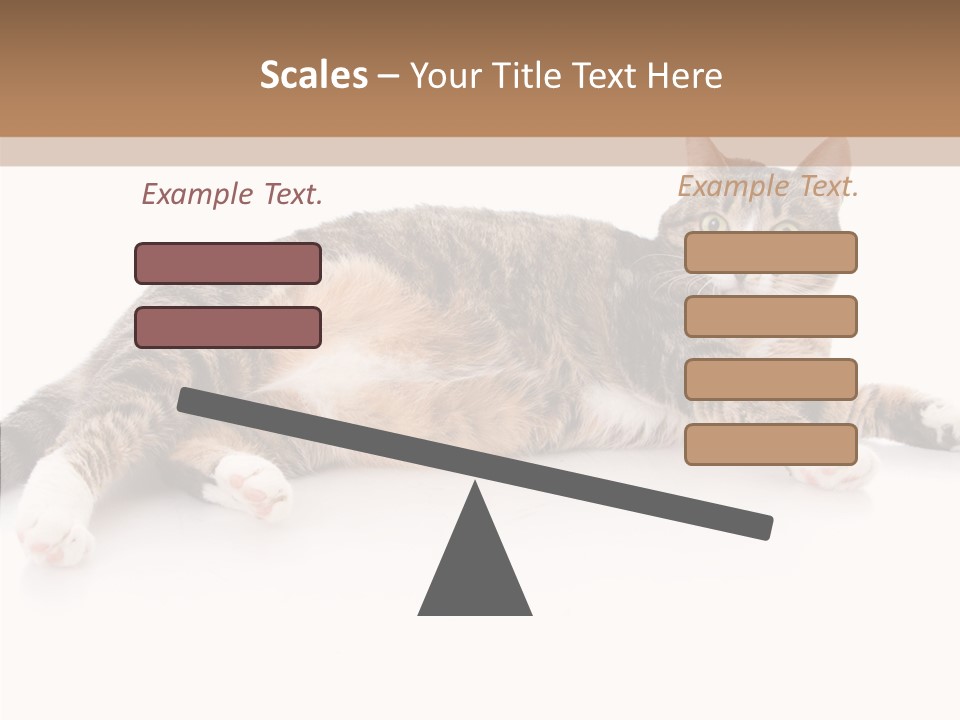 Kitten Tabby Vet PowerPoint Template