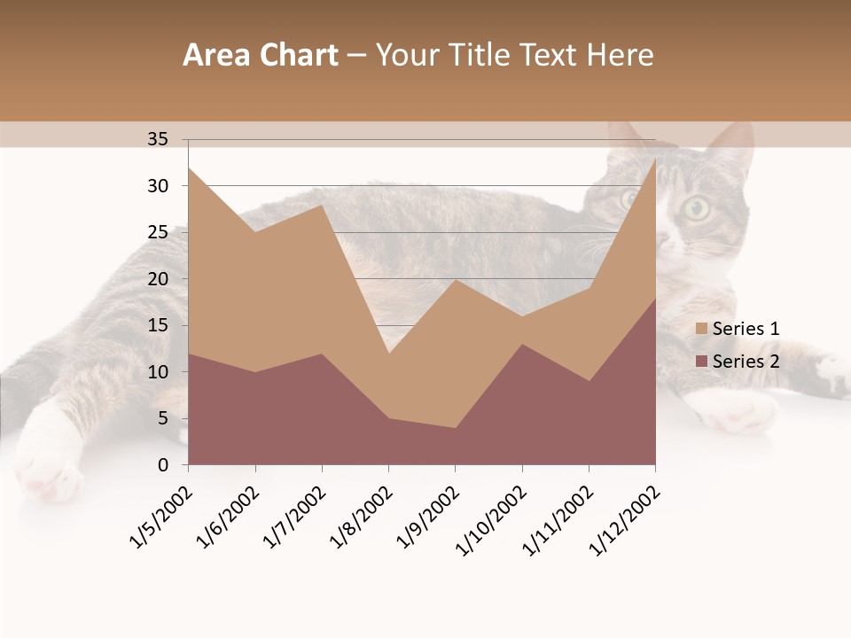 Kitten Tabby Vet PowerPoint Template