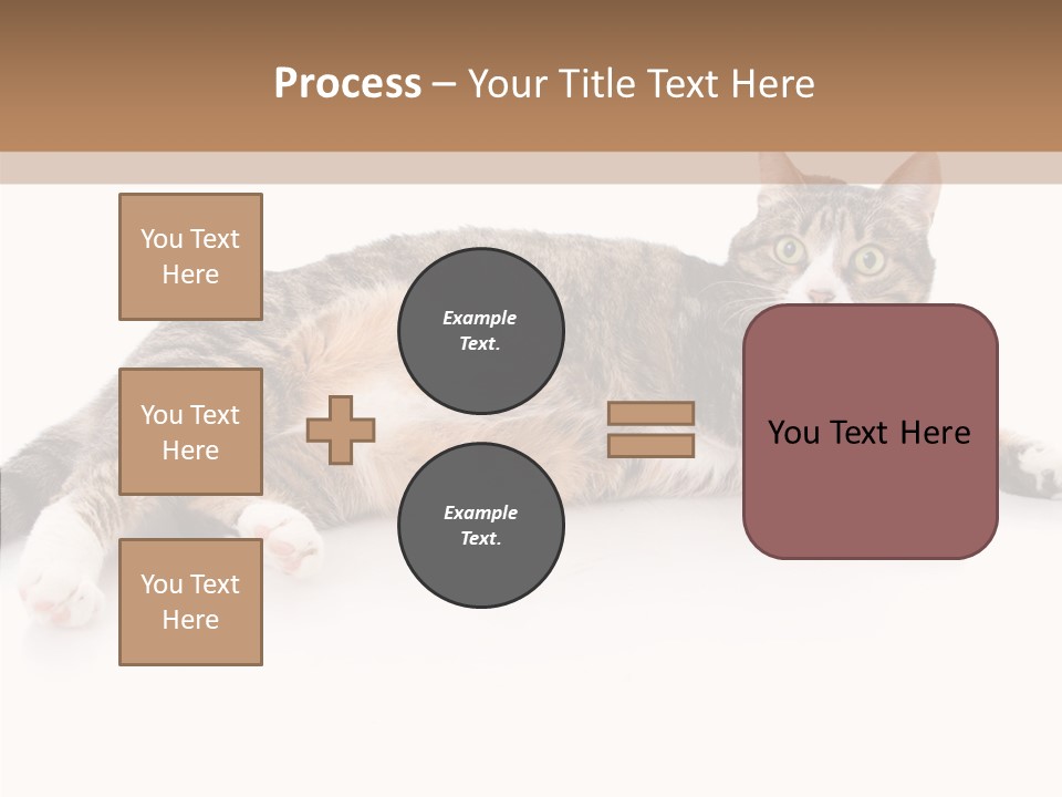 Kitten Tabby Vet PowerPoint Template