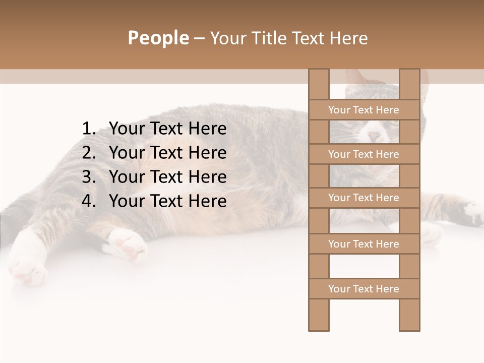 Kitten Tabby Vet PowerPoint Template