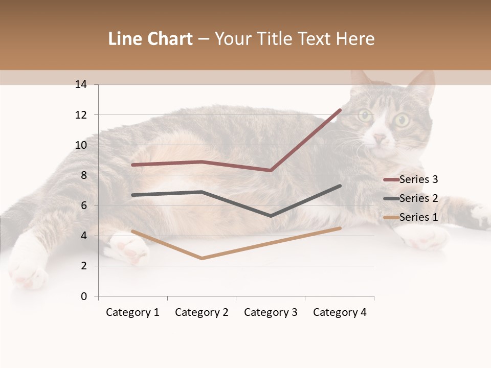 Kitten Tabby Vet PowerPoint Template