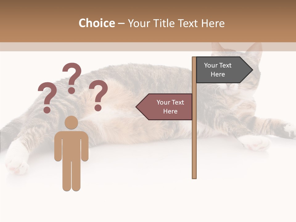 Kitten Tabby Vet PowerPoint Template