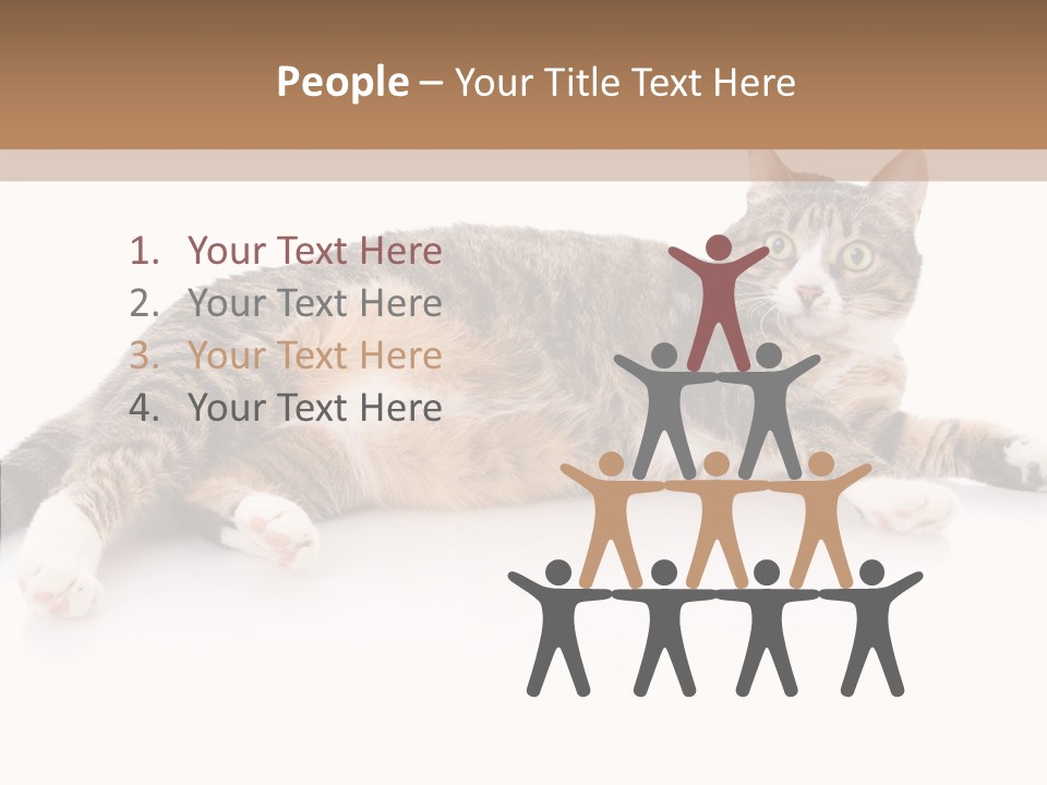 Kitten Tabby Vet PowerPoint Template