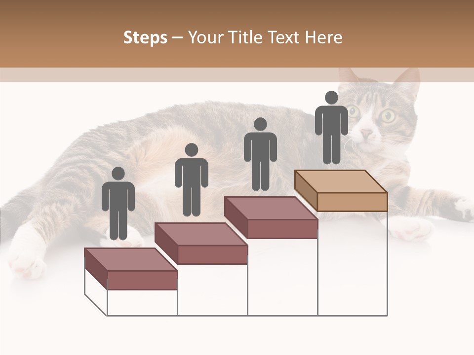 Kitten Tabby Vet PowerPoint Template