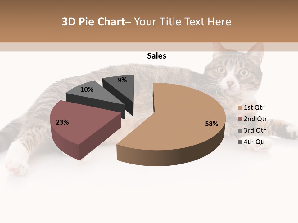 Kitten Tabby Vet PowerPoint Template