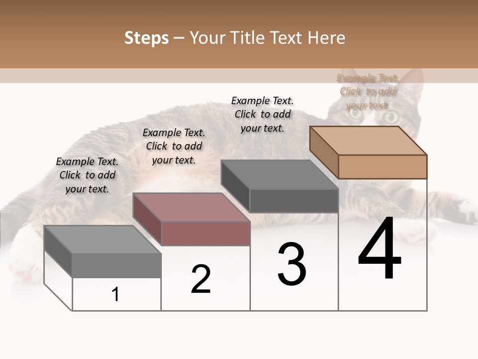 Kitten Tabby Vet PowerPoint Template