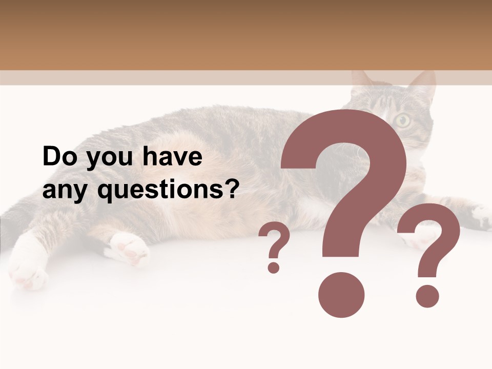 Kitten Tabby Vet PowerPoint Template