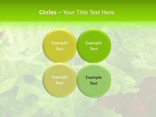 Food Combination Juicy PowerPoint Template