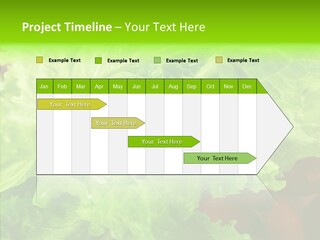 Food Combination Juicy PowerPoint Template