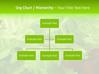 Food Combination Juicy PowerPoint Template