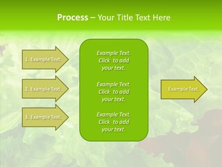 Food Combination Juicy PowerPoint Template