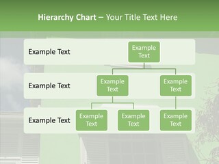 Green Trim Barbados PowerPoint Template