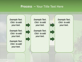 Green Trim Barbados PowerPoint Template