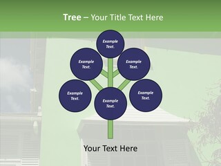 Green Trim Barbados PowerPoint Template