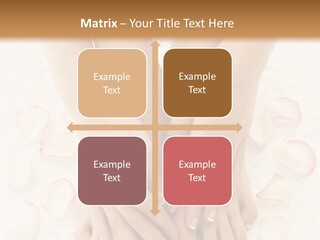 Towel Blossom Botany PowerPoint Template