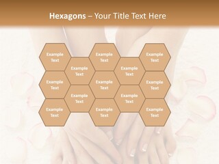 Towel Blossom Botany PowerPoint Template