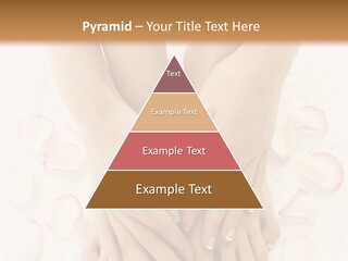 Towel Blossom Botany PowerPoint Template