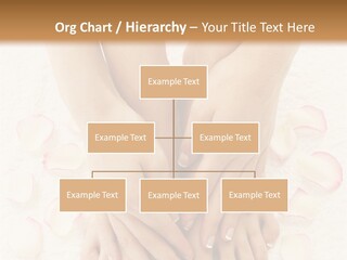 Towel Blossom Botany PowerPoint Template