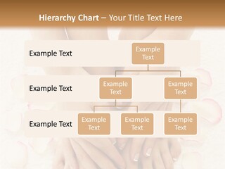 Towel Blossom Botany PowerPoint Template