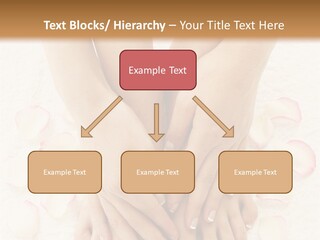Towel Blossom Botany PowerPoint Template