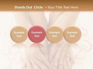 Towel Blossom Botany PowerPoint Template