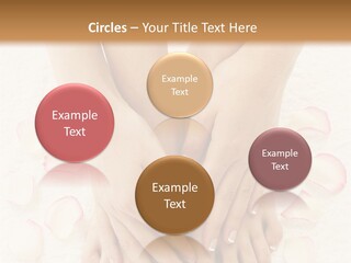 Towel Blossom Botany PowerPoint Template