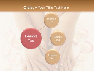 Towel Blossom Botany PowerPoint Template