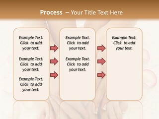 Towel Blossom Botany PowerPoint Template