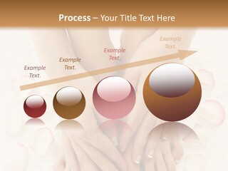 Towel Blossom Botany PowerPoint Template