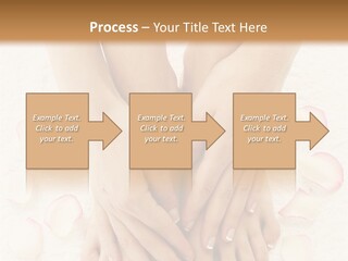 Towel Blossom Botany PowerPoint Template