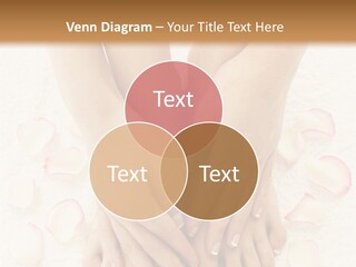 Towel Blossom Botany PowerPoint Template