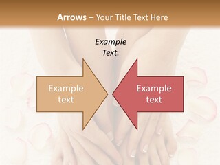 Towel Blossom Botany PowerPoint Template