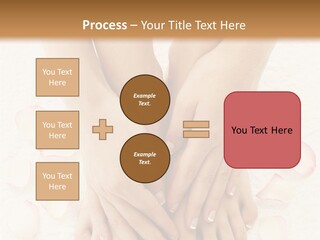 Towel Blossom Botany PowerPoint Template