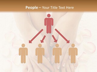 Towel Blossom Botany PowerPoint Template