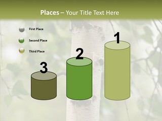 Flora Fragment Verdure PowerPoint Template