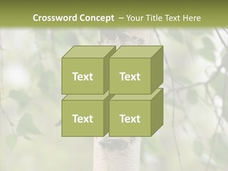 Flora Fragment Verdure PowerPoint Template