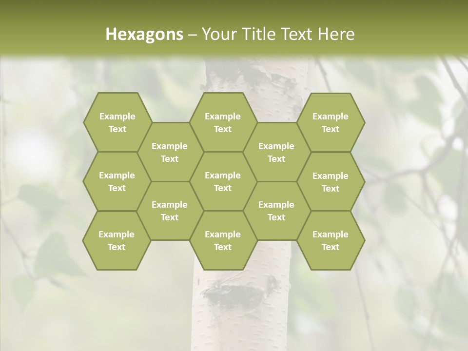 Flora Fragment Verdure PowerPoint Template