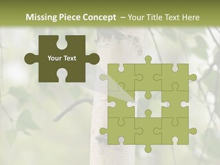 Flora Fragment Verdure PowerPoint Template