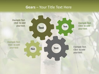 Flora Fragment Verdure PowerPoint Template