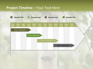 Flora Fragment Verdure PowerPoint Template