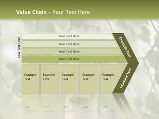 Flora Fragment Verdure PowerPoint Template