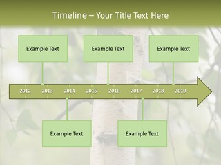 Flora Fragment Verdure PowerPoint Template