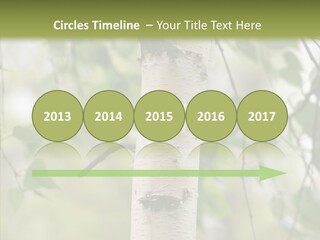 Flora Fragment Verdure PowerPoint Template