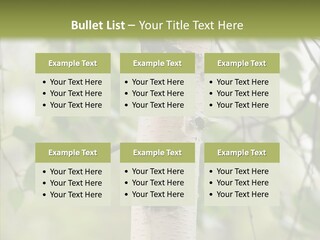 Flora Fragment Verdure PowerPoint Template