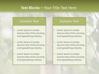 Flora Fragment Verdure PowerPoint Template