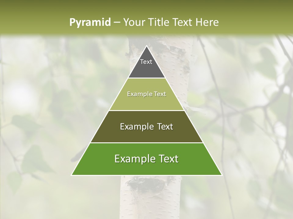 Flora Fragment Verdure PowerPoint Template