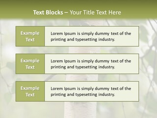 Flora Fragment Verdure PowerPoint Template