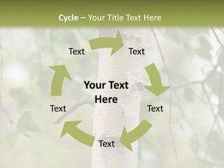 Flora Fragment Verdure PowerPoint Template