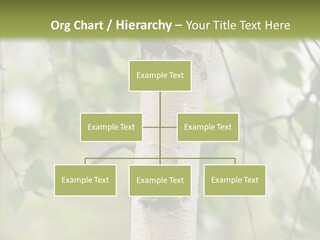 Flora Fragment Verdure PowerPoint Template