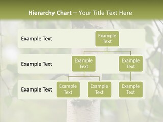 Flora Fragment Verdure PowerPoint Template